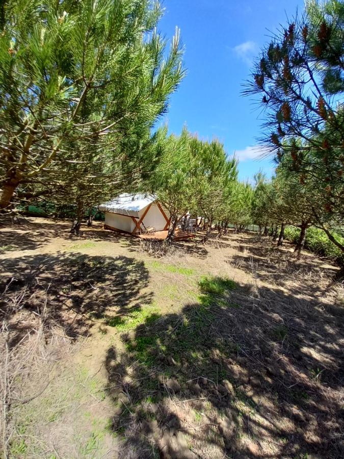 Kabaceira Glamping Otel Atalaia  Dış mekan fotoğraf