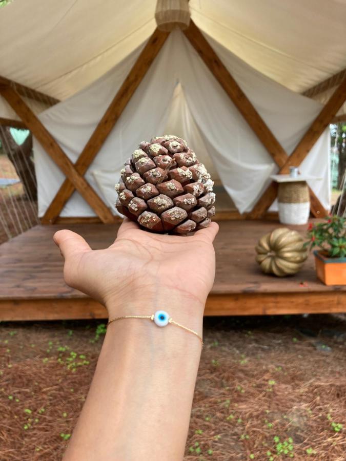 Kabaceira Glamping Otel Atalaia  Dış mekan fotoğraf